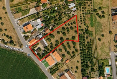 Terreno para Venda em Torres Novas (Santa Maria, Salvador e Santiago)