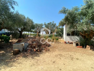 Terreno para Venda em Torres Novas (Santa Maria, Salvador e Santiago)