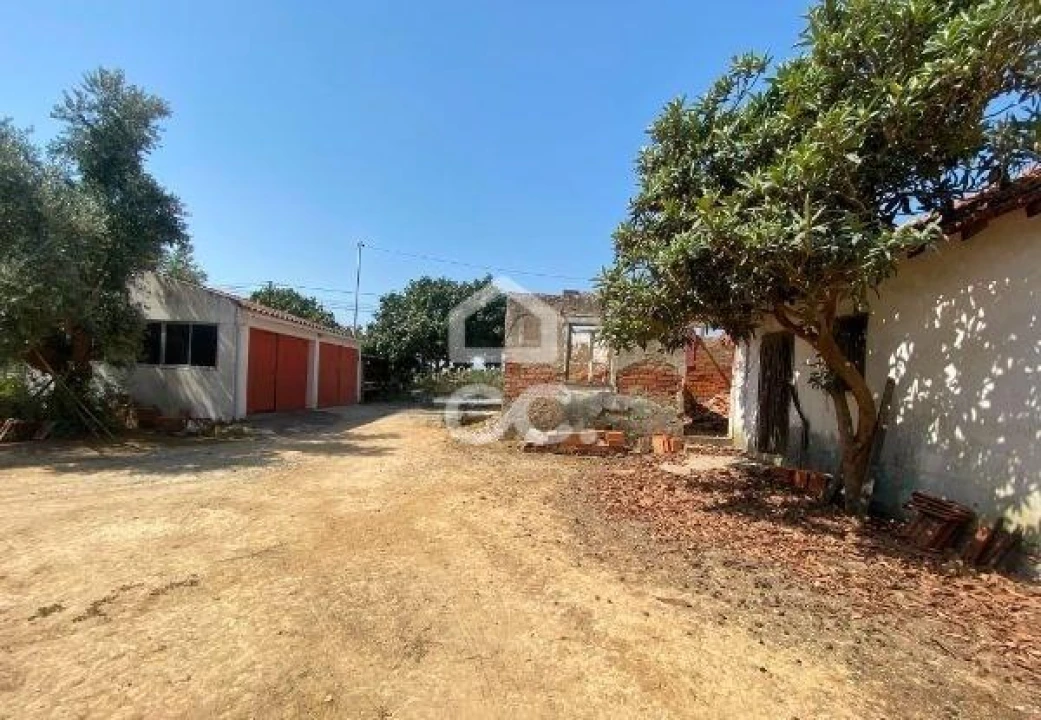Terreno para Venda em Torres Novas (Santa Maria, Salvador e Santiago) Foto 32