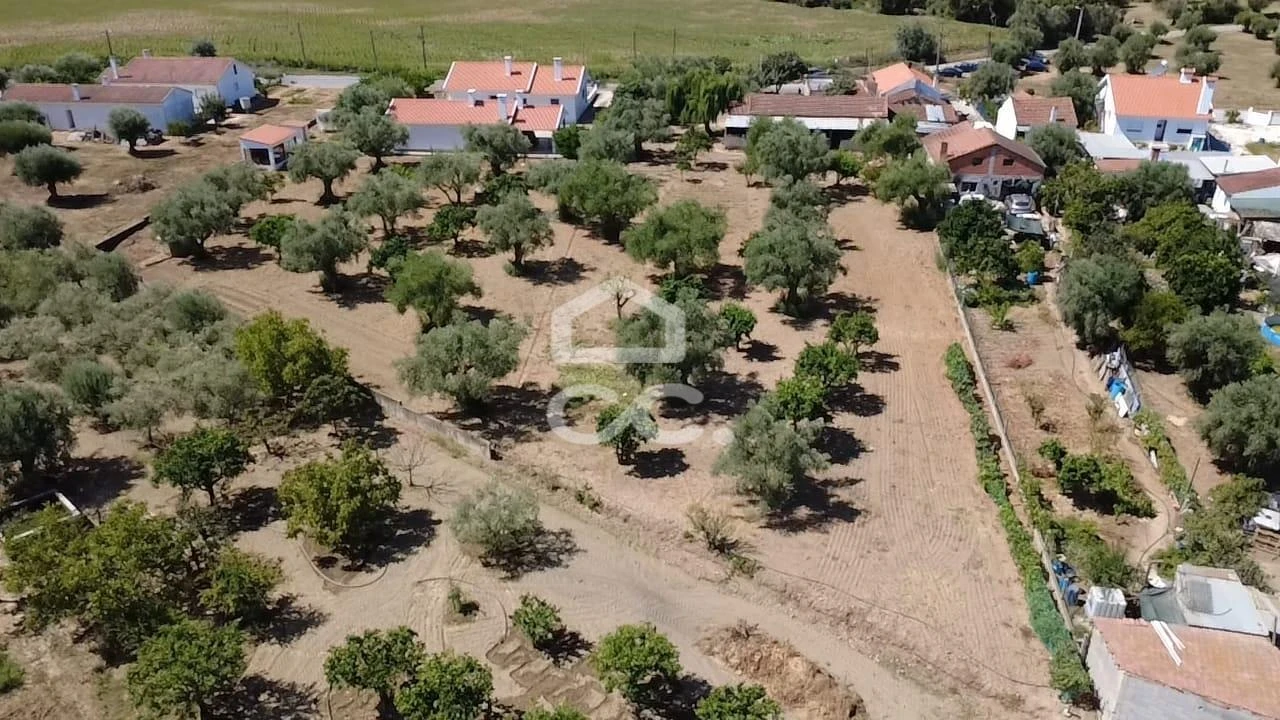 Terreno para Venda em Torres Novas (Santa Maria, Salvador e Santiago) Foto 35