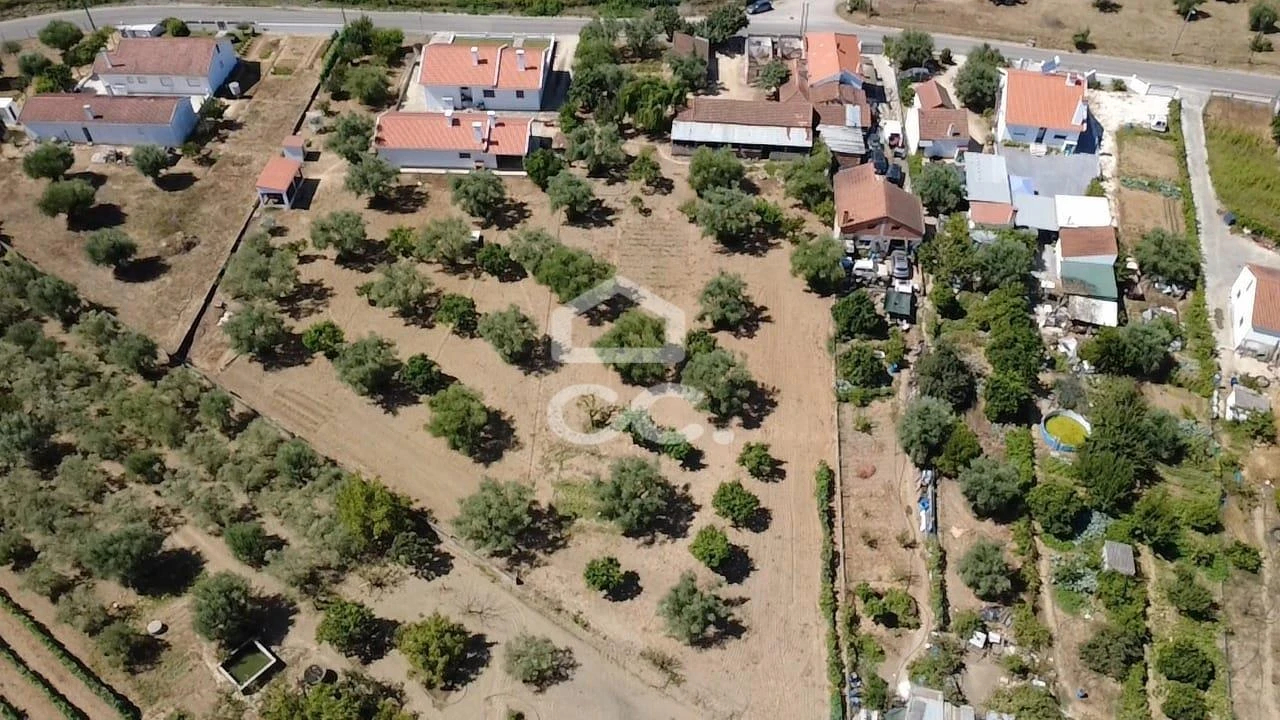 Terreno para Venda em Torres Novas (Santa Maria, Salvador e Santiago) Foto 36