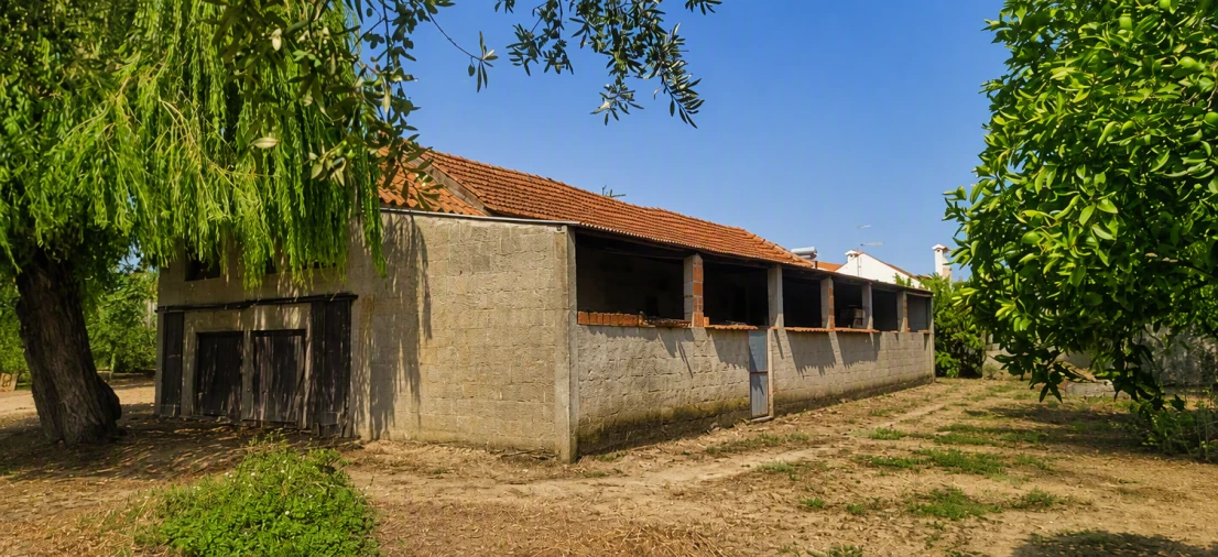 Terreno para Venda em Torres Novas (Santa Maria, Salvador e Santiago) Foto 5