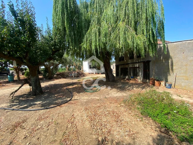 Terreno para Venda em Torres Novas (Santa Maria, Salvador e Santiago) Foto 8