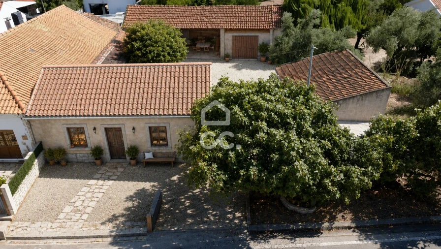 Terreno para Venda em Torres Novas (Santa Maria, Salvador e Santiago) Foto 10
