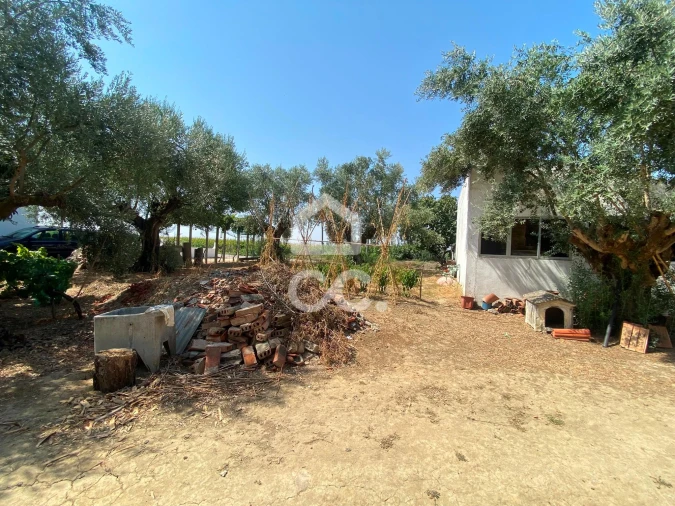 Terreno para Venda em Torres Novas (Santa Maria, Salvador e Santiago) Foto 31