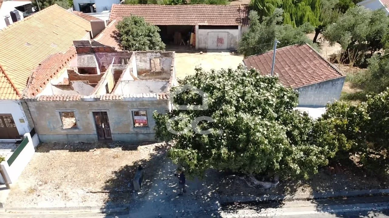 Terreno para Venda em Torres Novas (Santa Maria, Salvador e Santiago) Foto 9