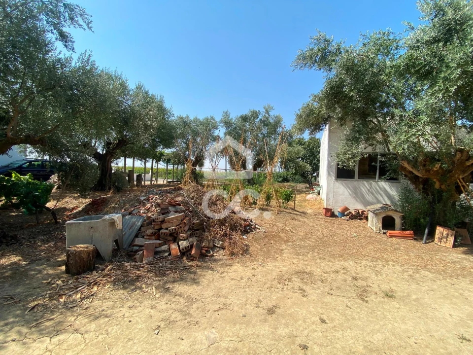 Terreno para Venda em Torres Novas (Santa Maria, Salvador e Santiago) Foto 31