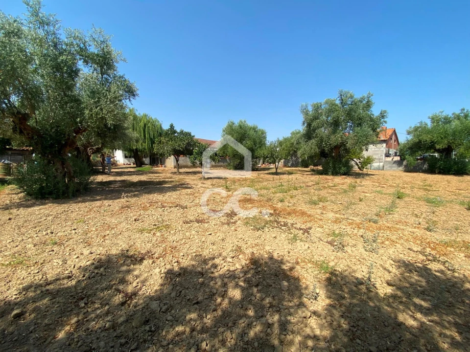 Terreno para Venda em Torres Novas (Santa Maria, Salvador e Santiago) Foto 2