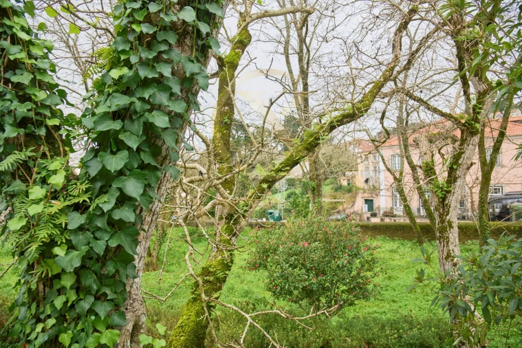 Moradia T3 para Venda em Agualva e Mira-Sintra Foto 12