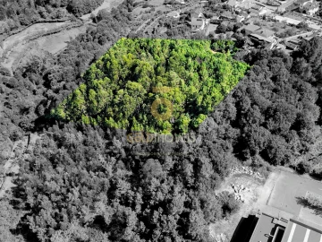 Terreno Agricola ou Rústico para Venda em Nespereira