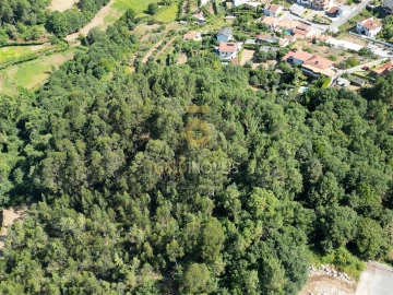 Terreno Agricola ou Rústico para Venda em Nespereira