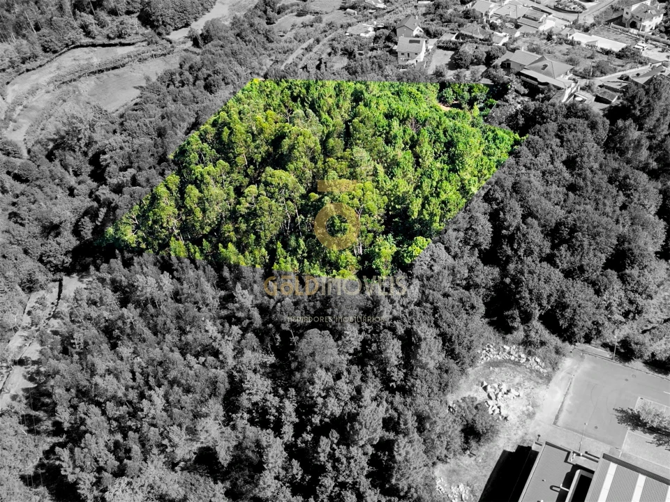 Terreno Agricola ou Rústico para Venda em Nespereira Foto 1