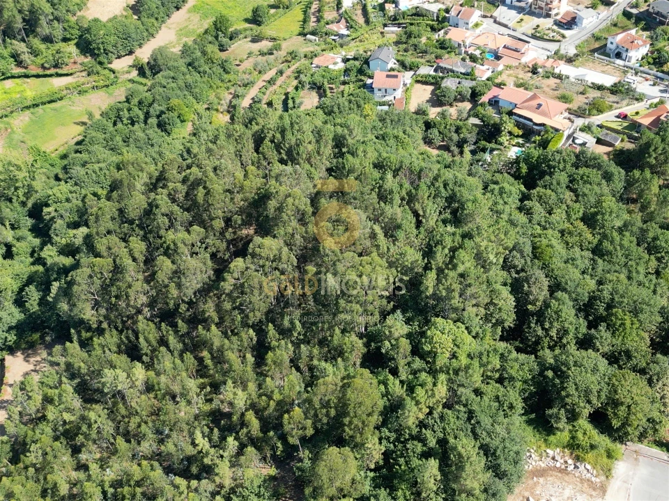 Terreno Agricola ou Rústico para Venda em Nespereira Foto 2