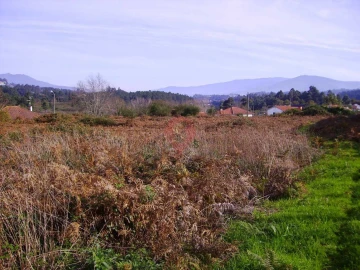 Terreno para Venda em Bela