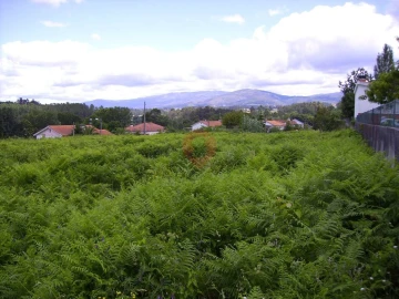 Terreno para Venda em Bela