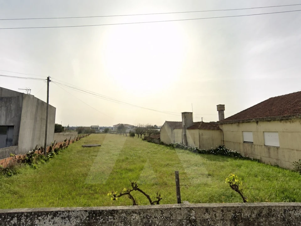 Terreno para Venda em Vagos e Santo António Foto 1
