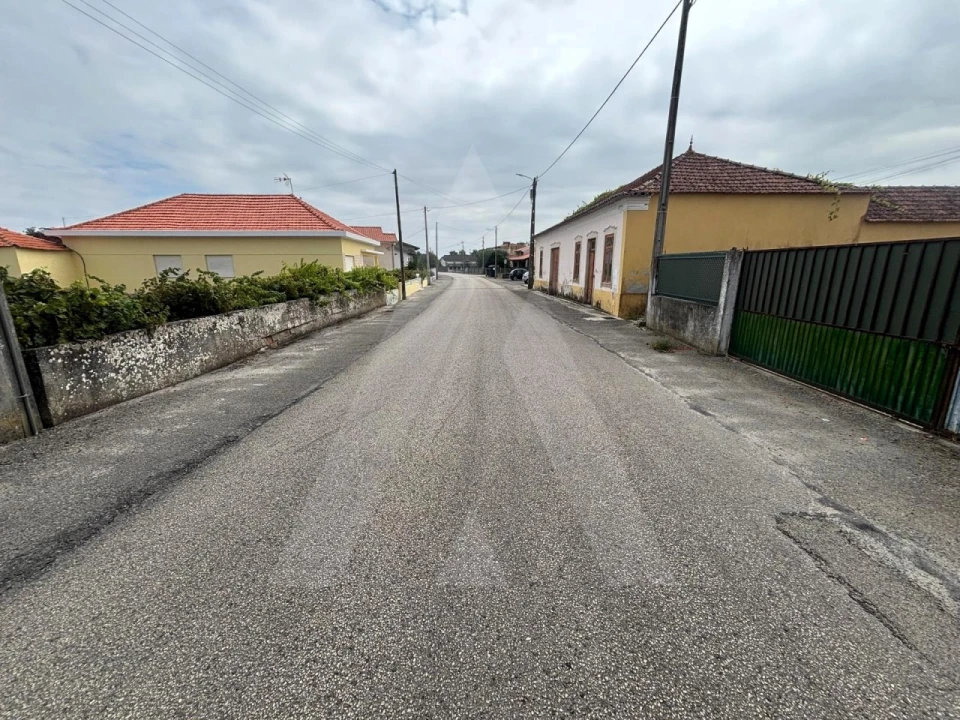 Terreno para Venda em Vagos e Santo António Foto 6
