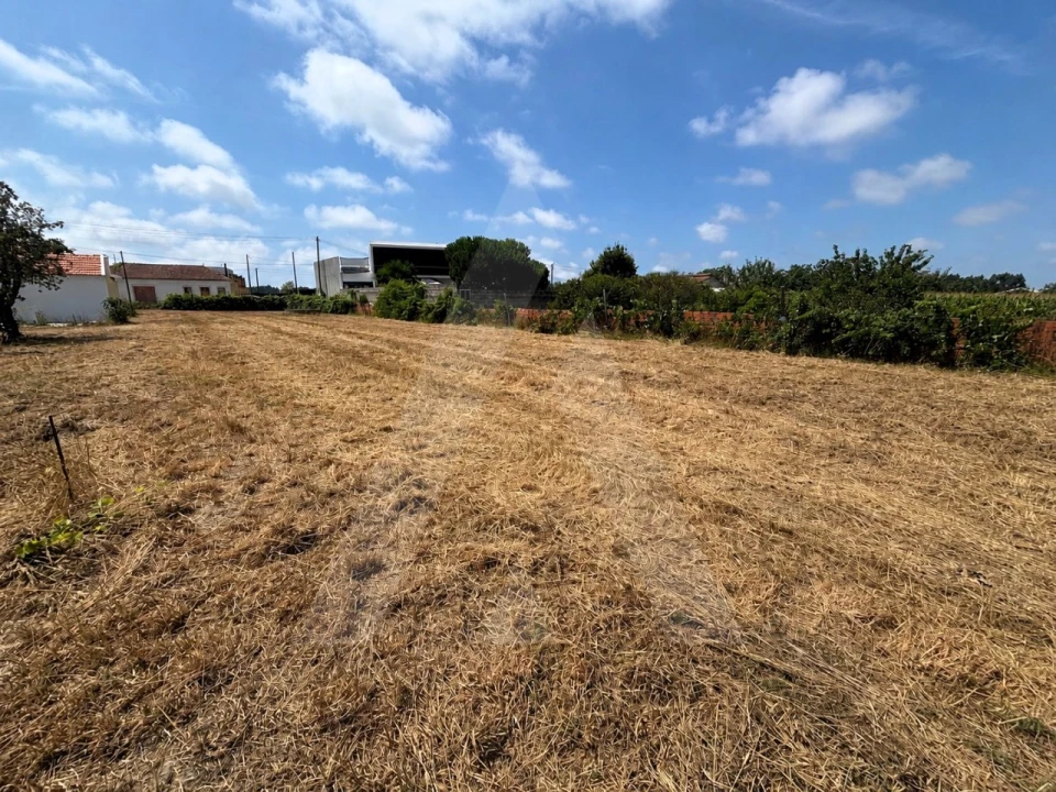 Terreno para Venda em Vagos e Santo António Foto 7