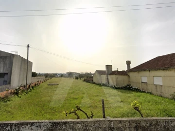 Terreno para Venda em Vagos e Santo António