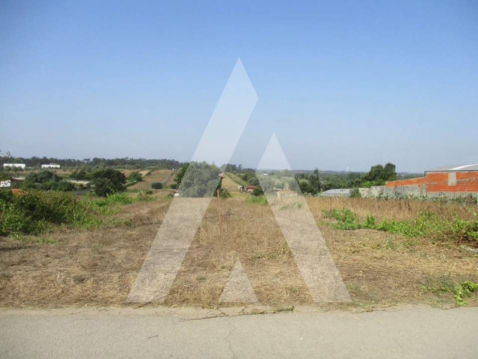 Terreno para Venda em Fermentelos Foto 1