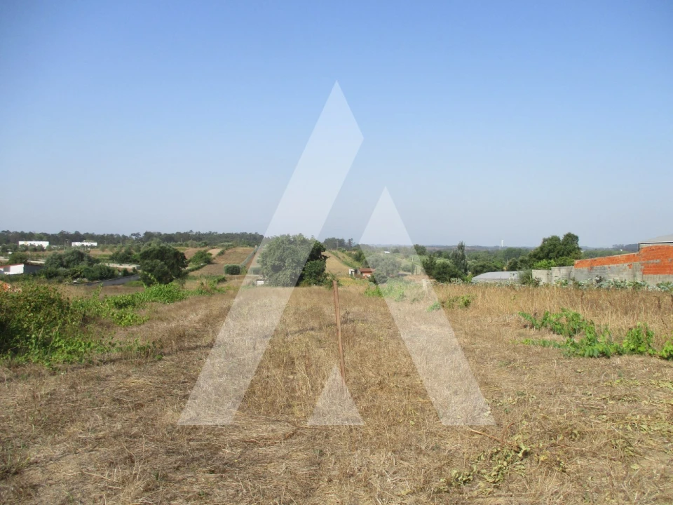 Terreno para Venda em Fermentelos Foto 2