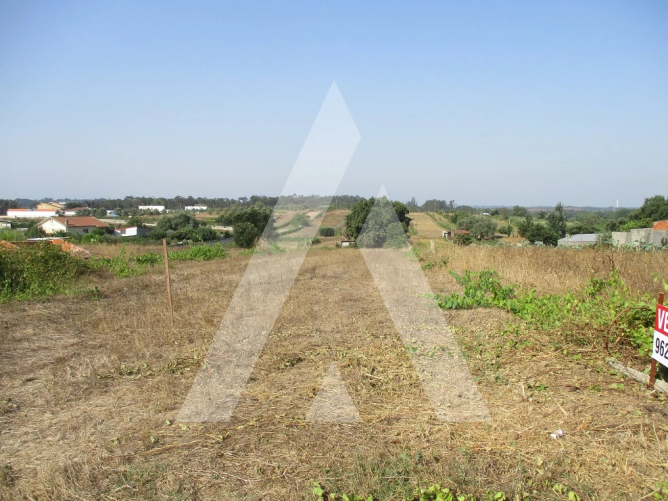 Terreno para Venda em Fermentelos Foto 3