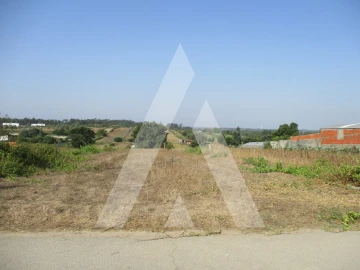 Terreno para Venda em Fermentelos
