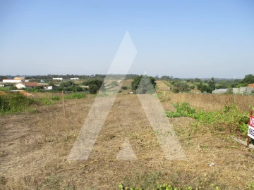 Terreno para Venda em Fermentelos