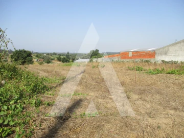 Terreno para Venda em Fermentelos