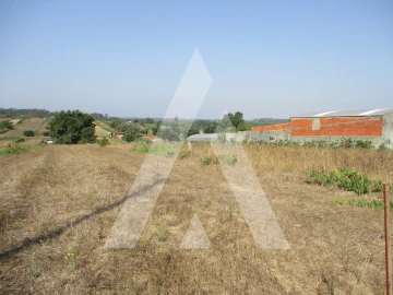 Terreno para Venda em Fermentelos