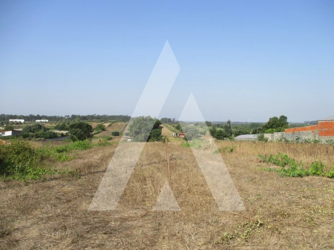 Terreno para Venda em Fermentelos Foto 2