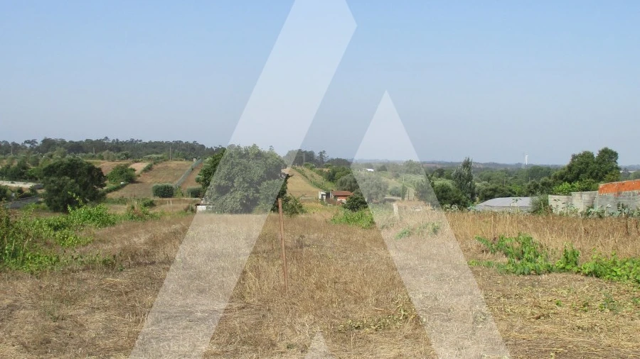 Terreno para Venda em Fermentelos