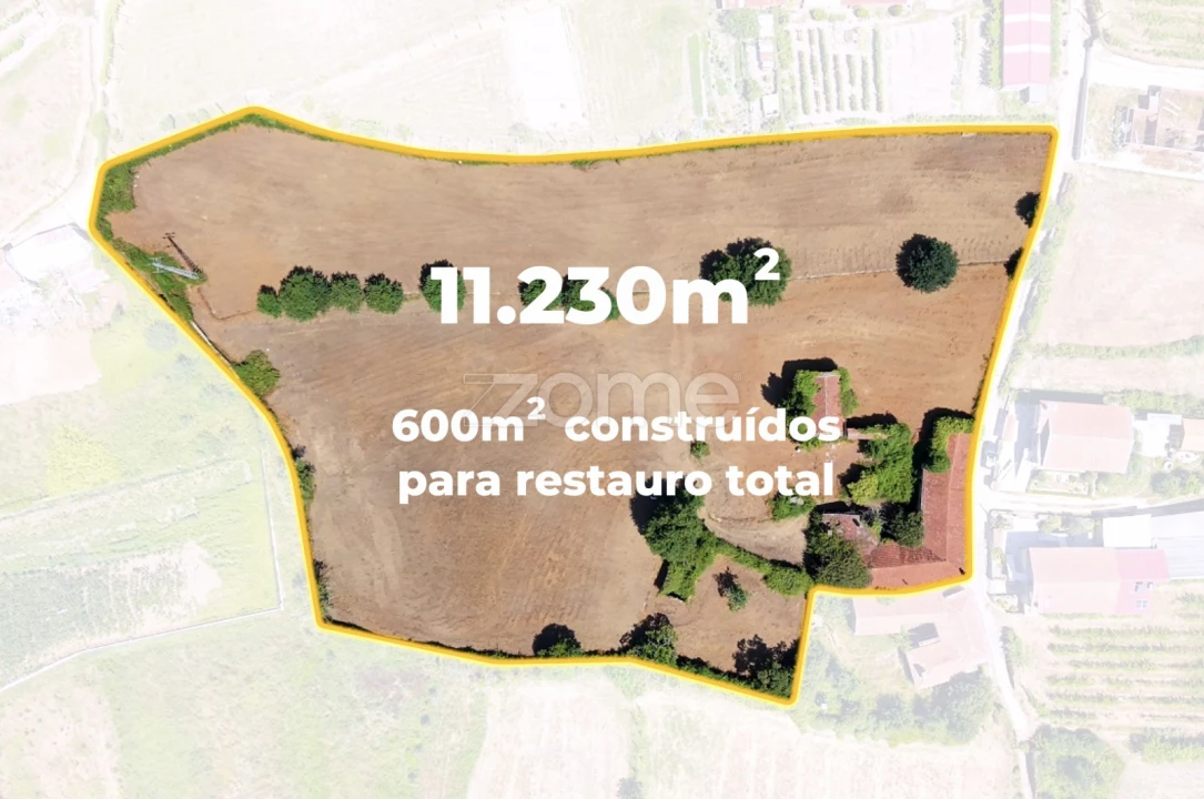Quinta T7 para Venda em Ossela Foto 1