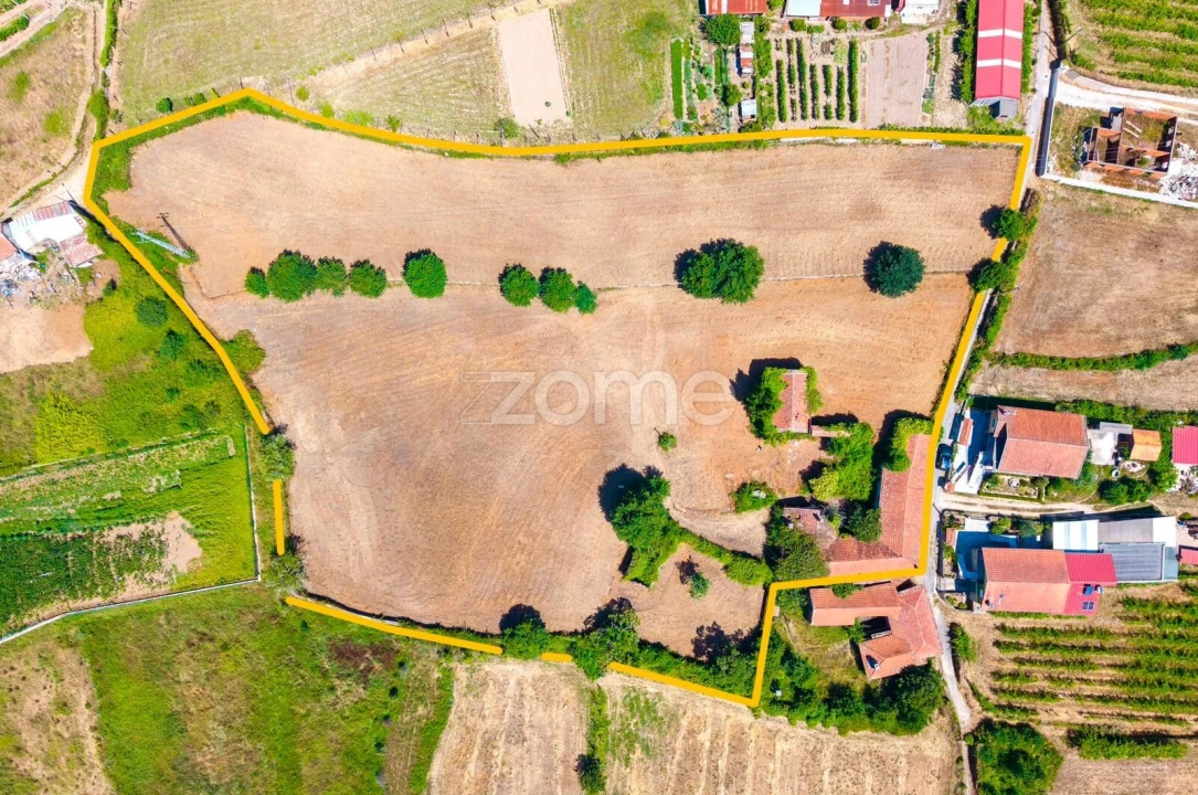 Quinta T7 para Venda em Ossela Foto 2