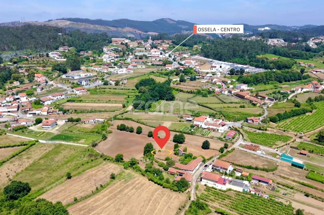 Quinta T7 para Venda em Ossela Foto 3