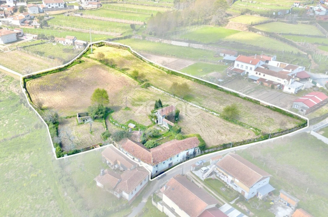 Quinta T7 para Venda em Ossela Foto 4