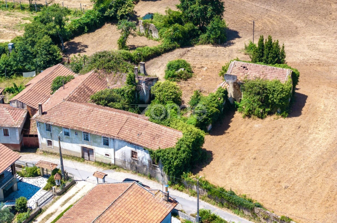 Quinta T7 para Venda em Ossela Foto 5