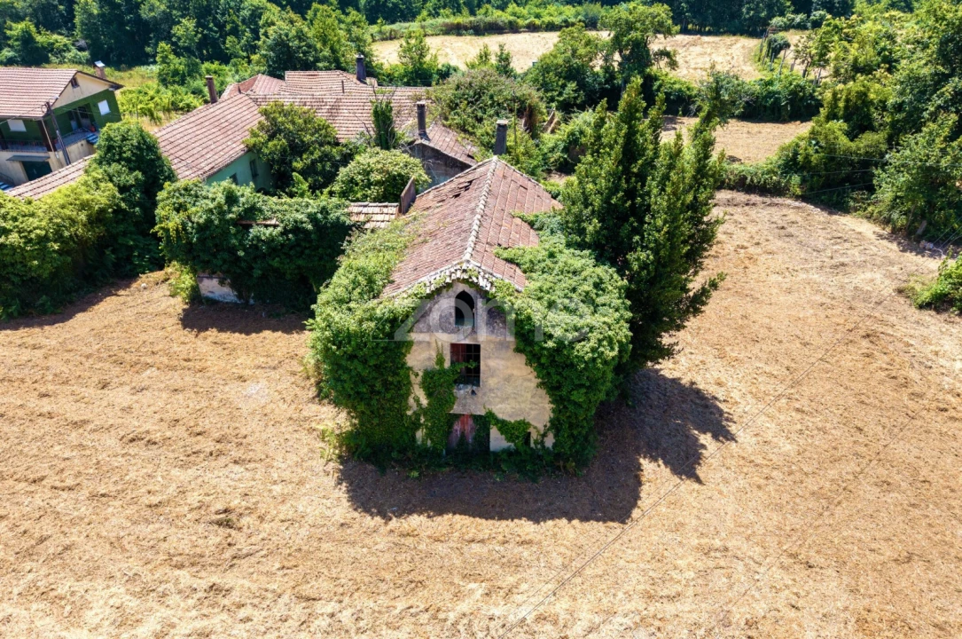 Quinta T7 para Venda em Ossela Foto 8
