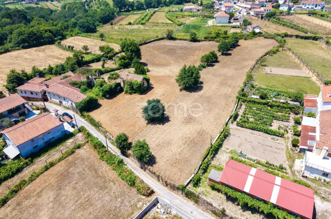 Quinta T7 para Venda em Ossela Foto 12