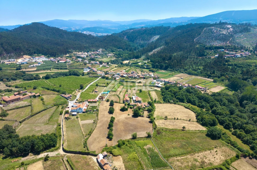 Quinta T7 para Venda em Ossela Foto 15