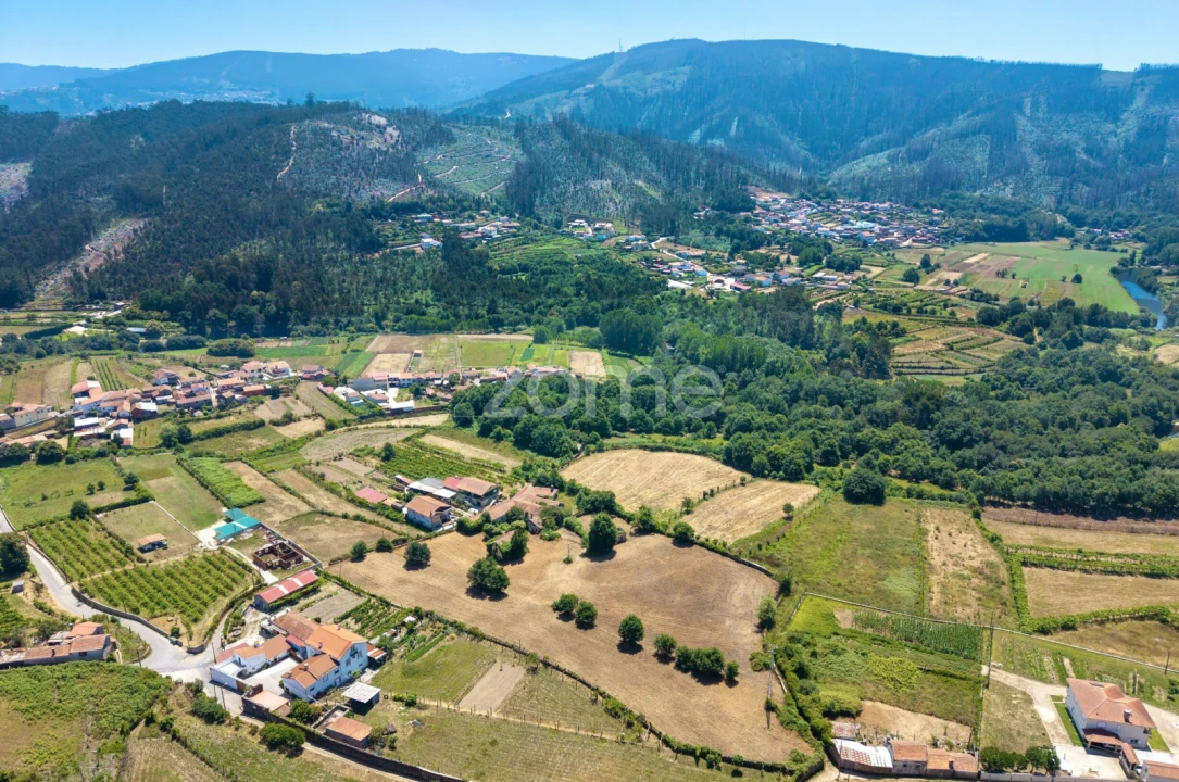 Quinta T7 para Venda em Ossela Foto 16