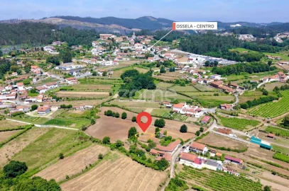 Quinta T7 para Venda em Ossela
