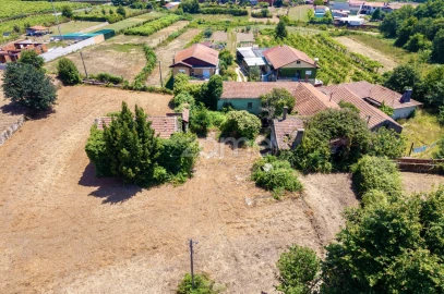 Quinta T7 para Venda em Ossela