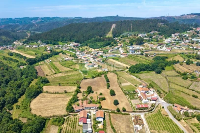 Quinta T7 para Venda em Ossela