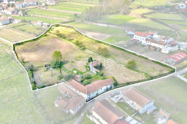 Quinta T7 para Venda em Ossela Foto 4