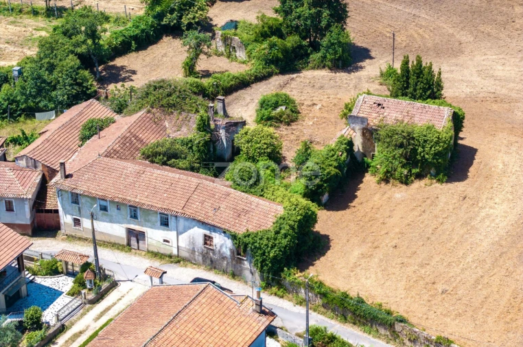 Quinta T7 para Venda em Ossela Foto 5