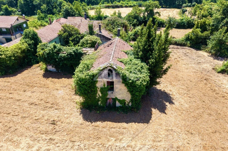 Quinta T7 para Venda em Ossela Foto 8
