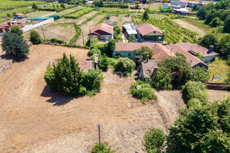 Quinta T7 para Venda em Ossela Foto 10