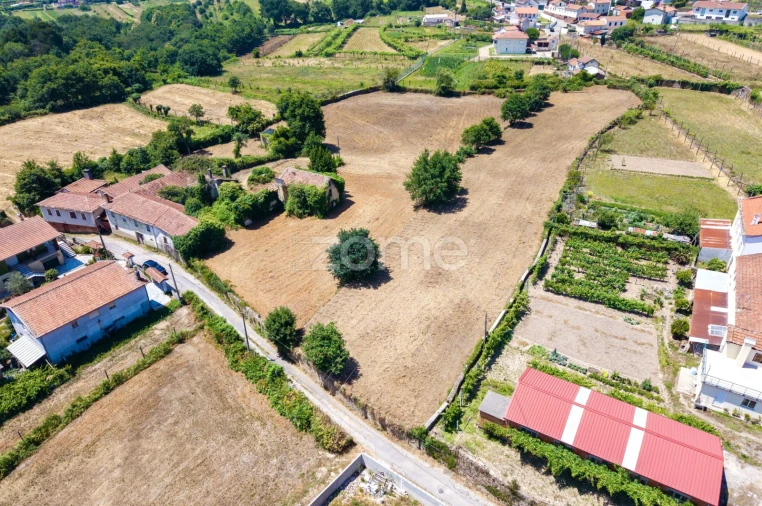Quinta T7 para Venda em Ossela Foto 12