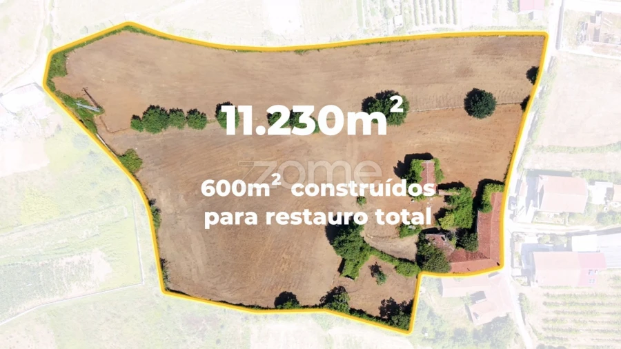 Quinta T7 para Venda em Ossela